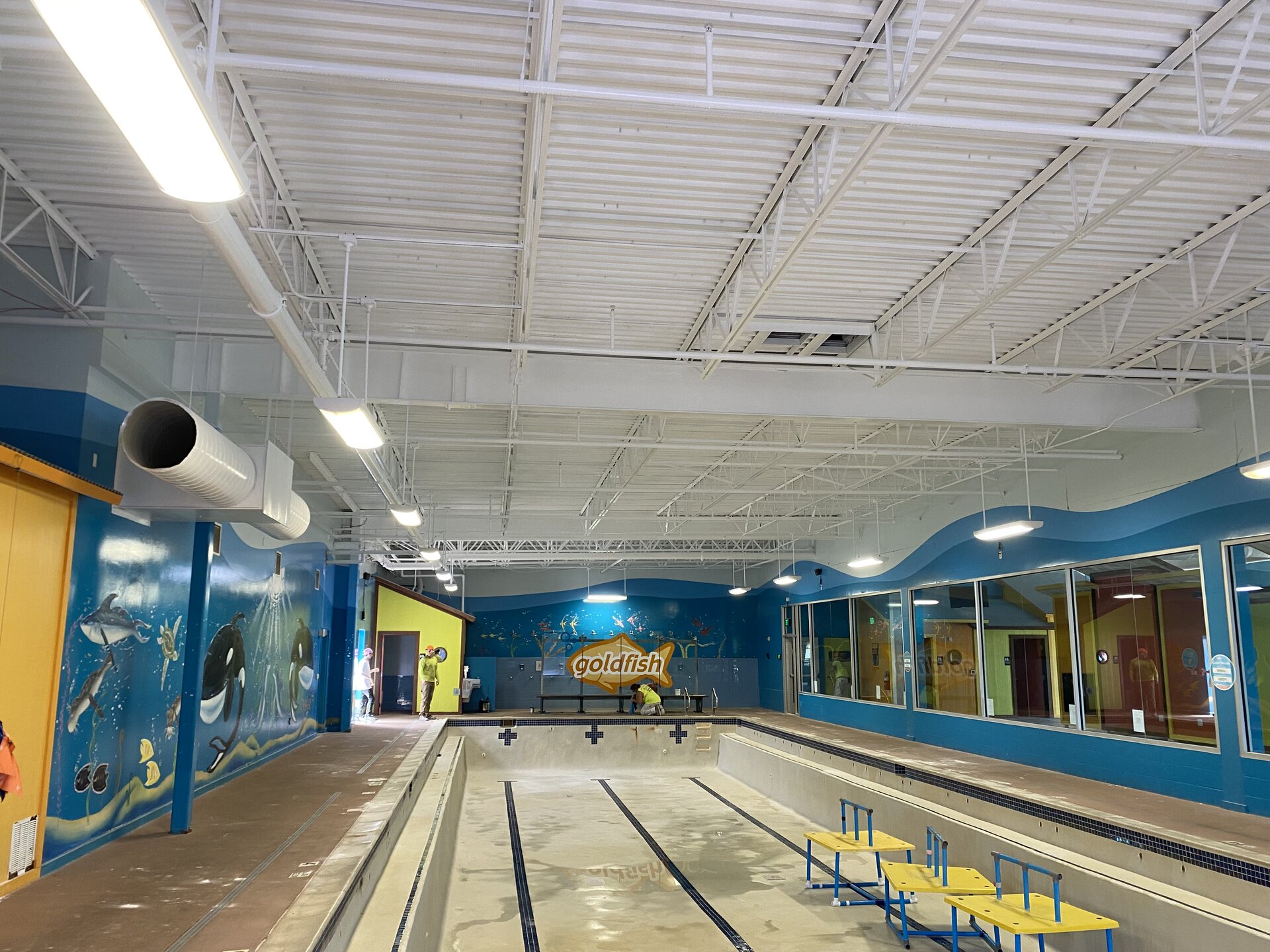 Goldfish Swim School facility — completed interior showing consistent color throughout